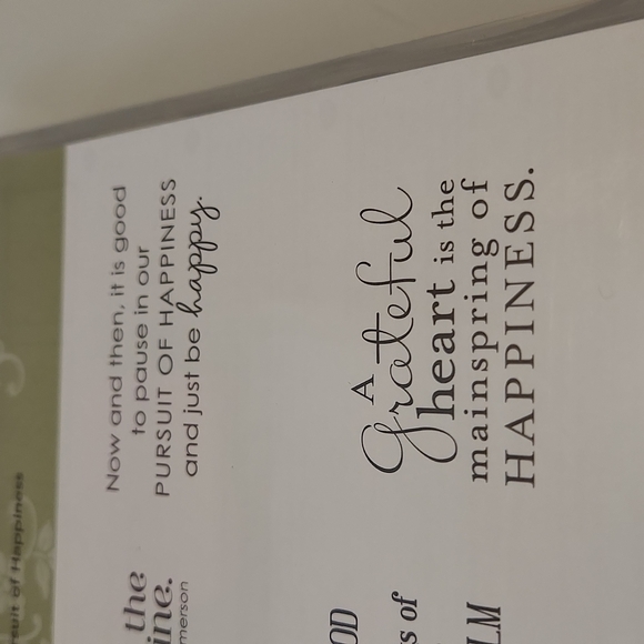 Pursuit of Happiness - Picture 3 of 5